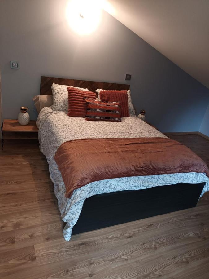 Apartament Au Pied Des Montagnes. Saint-Jean-de-Maurienne Zewnętrze zdjęcie